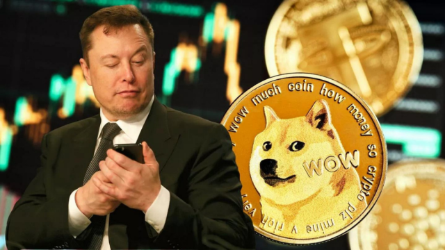 DogecoinKriptoSpot-92giIjNGD9.png